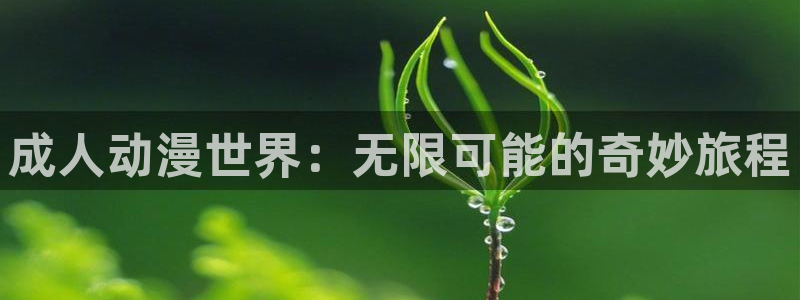 韩国漫画网:成人动漫世界:无限可能的奇妙旅程配图