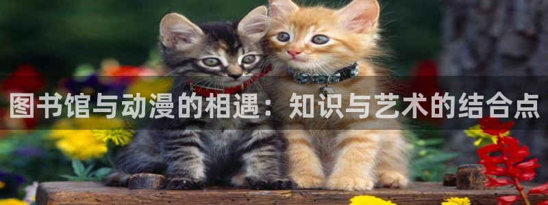 韩漫少年漫画:图书馆与动漫的相遇:知识与艺术的结合点配图