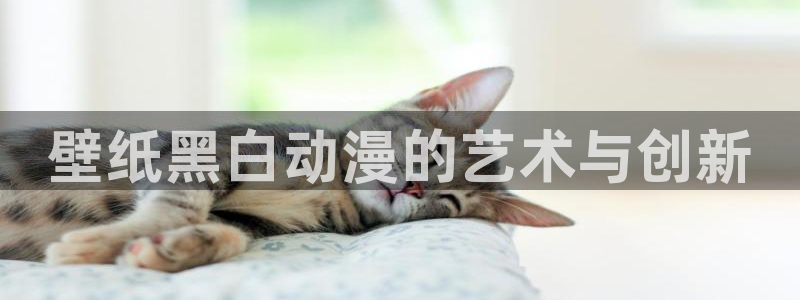 韩漫漫画在线阅读网站：壁纸黑白动漫的艺术与创新配图