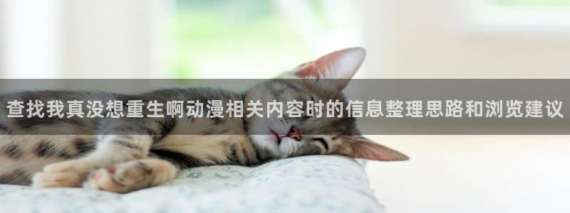 韩漫漫画今日更新:查找我真没想重生啊动漫相关内容时的信息整理思路和浏览建议配图